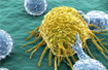 Two-thirds of cancer cases due to bad luck: Study